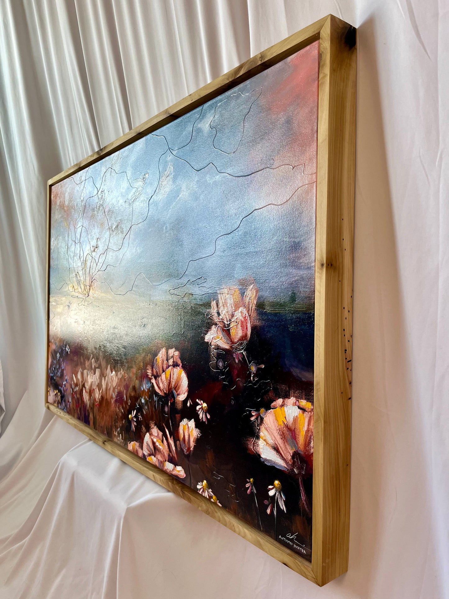 Everything the Light Touches